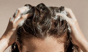 haircare original research for 2026